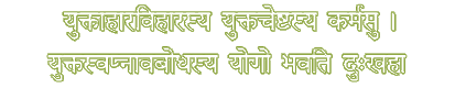 Sanskrit Slok